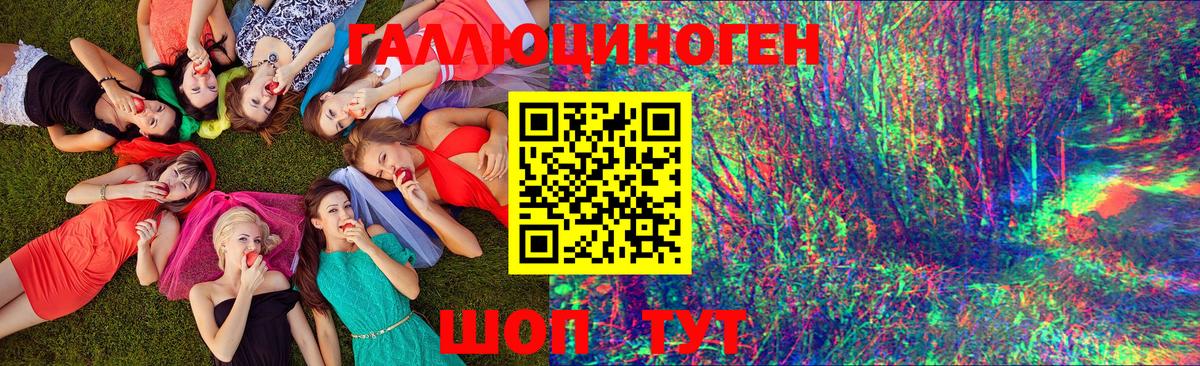 Галлюциногенные грибы Psilocybe Биробиджан