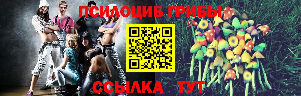 Псилоцибиновые грибы Cubensis  Вход с VPN  Биробиджан 